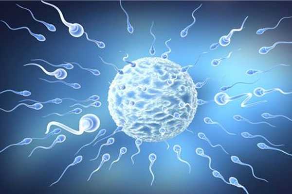 死精子&无精子需要怎麽治疗，能做试管婴儿吗?