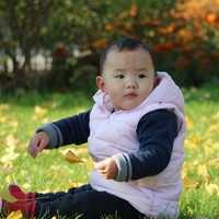 广州供卵成功率多少_广州二院供卵_新疆石河子试管婴儿医院成功率排名最好的