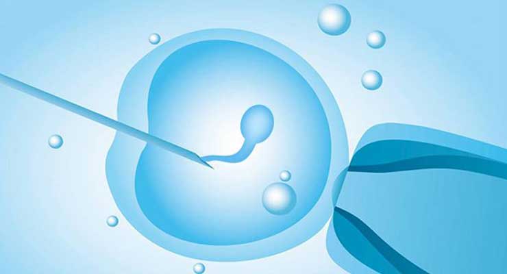 美国试管婴儿移植前后注意哪些有利胚胎着床？