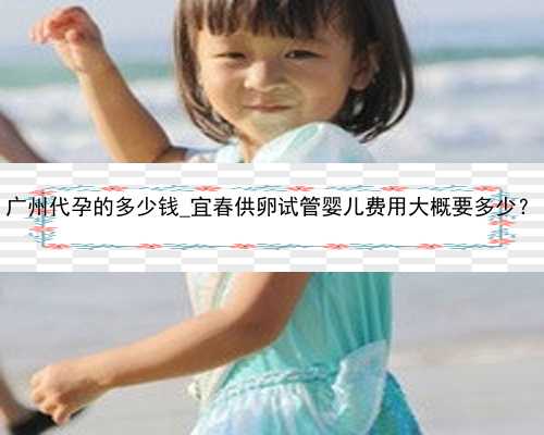 广州代孕的多少钱_宜春供卵试管婴儿费用大概要多少？