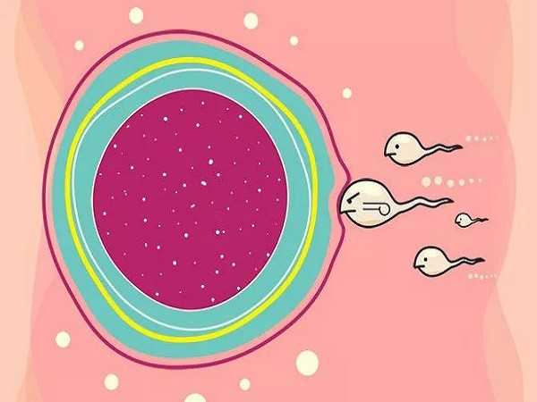 成都试管婴儿科普：80、90后的青年卵巢早衰了还能做试管吗？