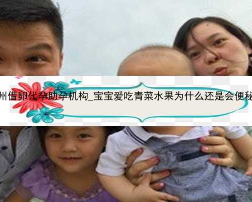广州借卵代孕助孕机构_宝宝爱吃青菜水果为什么还是会便秘？