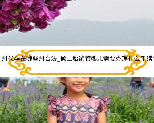 广州代孕在哪些州合法_做二胎试管婴儿需要办理什么手续？