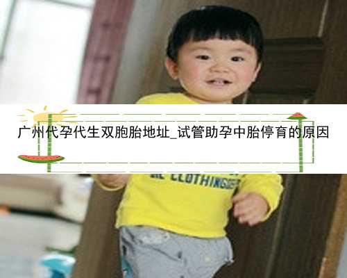 广州代孕代生双胞胎地址_试管助孕中胎停育的原因