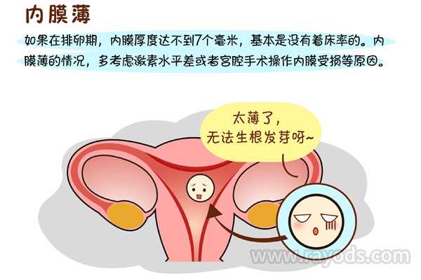 做试管婴儿子宫内膜薄，应该怎么办？