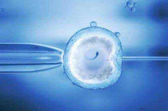 广州推荐供卵试管 广州市第一人民医院试管婴儿费用标准 ‘怀孕b超图形看男女