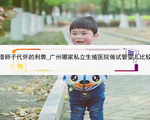 广州借卵子代怀的利弊_广州哪家私立生殖医院做试管婴儿比较好？