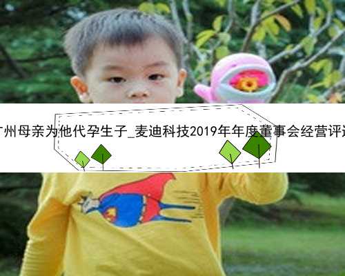 广州母亲为他代孕生子_麦迪科技2019年年度董事会经营评述