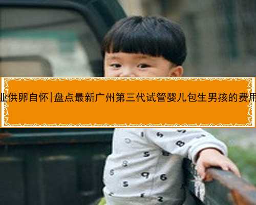 广州专业供卵自怀|盘点最新广州第三代试管婴儿包生男孩的费用明细！
