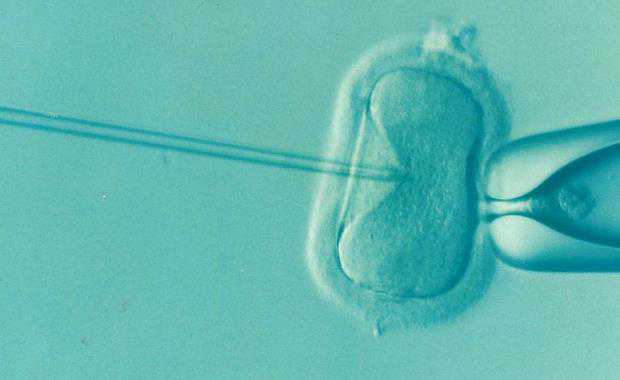 自然代怀孕案例_代怀机构合法吗_拉萨三代试管胚胎筛选费用试管三代检测胚胎